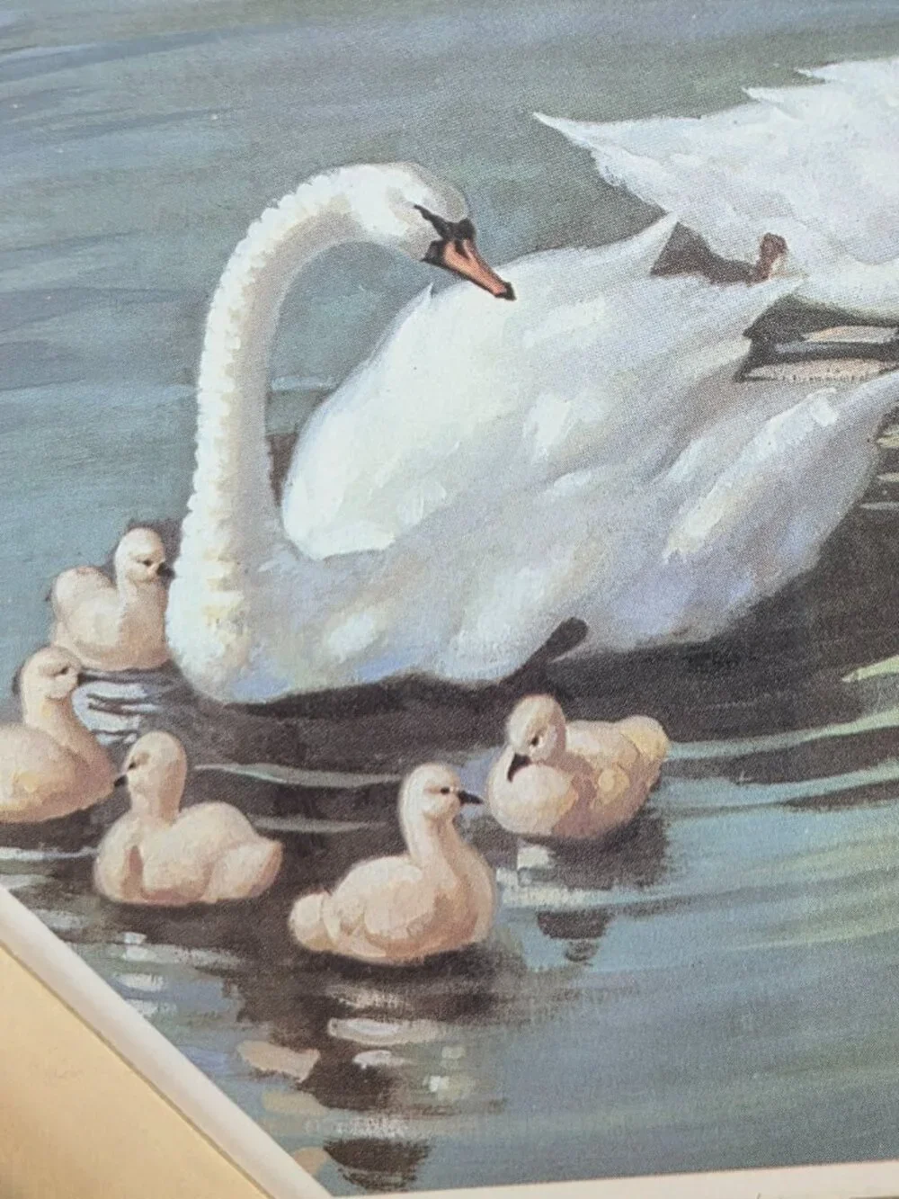 vintage octagon gold framed print serene scene of swans and babies 10x10